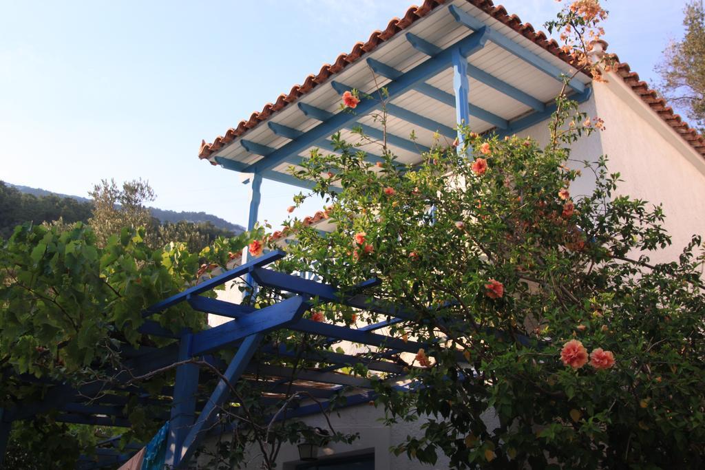 Blue Horizon Διαμέρισμα Μαραθόκαμπος Εξωτερικό φωτογραφία